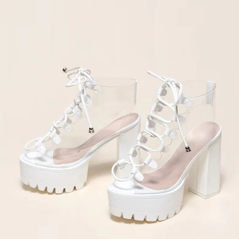 Transparent Lace-Up Chunky Heel Peep Toe Platform Boots